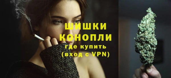 шишки Калининец