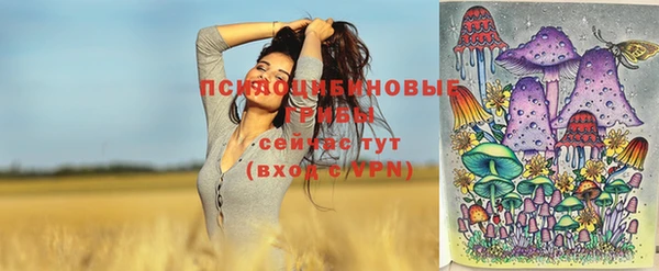 круглые Фёдоровский